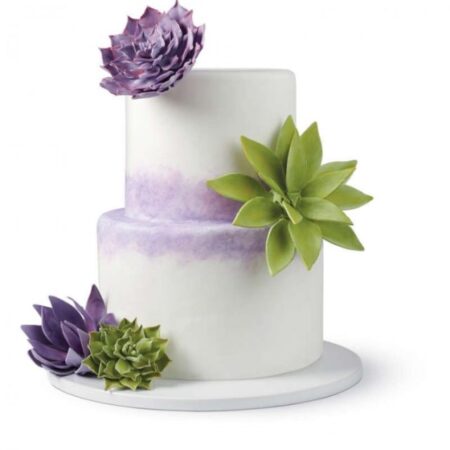 070896425775_jgo20920cort20pasta20de20goma20suculentas2-jpg