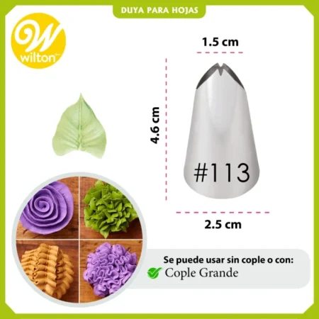 402113_duya202311320wilton2-webp