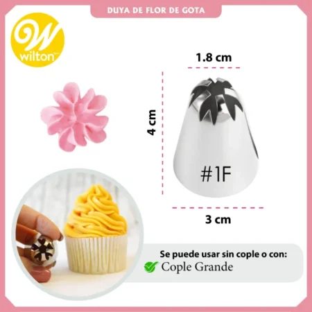 4021f_duya20231f20wilton2-webp