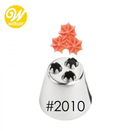 4022010_duya2023201020wilton20boquilla20estrella1-jpg