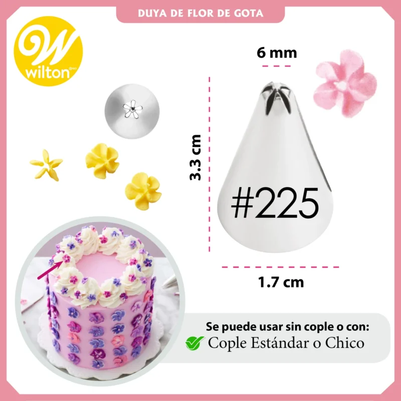 402225_duya202322520wilton2-webp